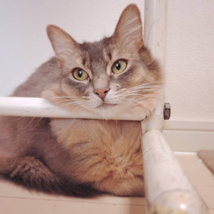 51582902 74a3 4945 ac88 d5d092f4cab1 1538320993873