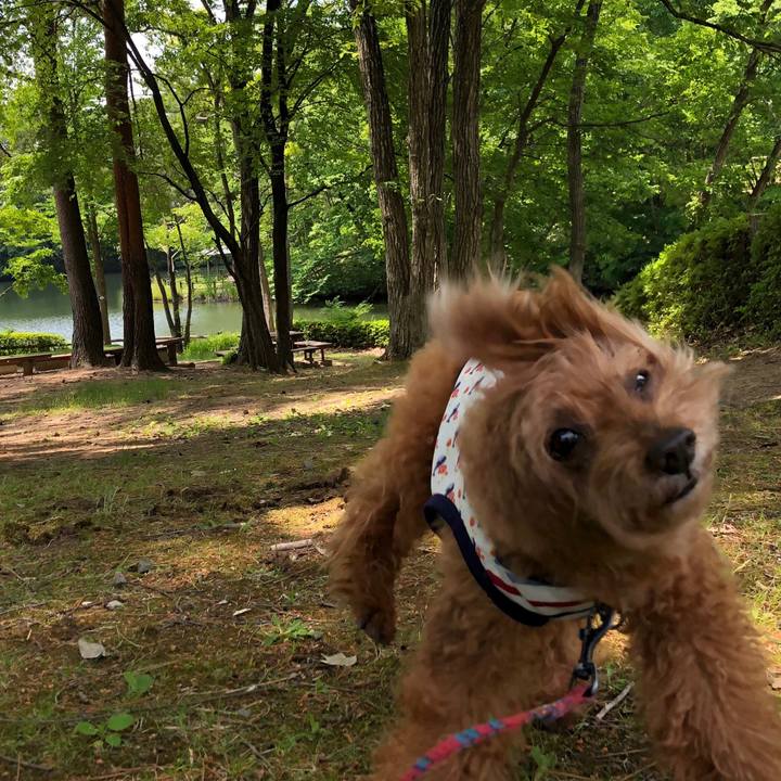 51584e9a 5933 42b9 8f56 28c58ed98254 1559784908135