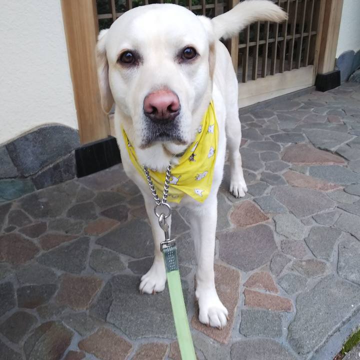 5158cbf3 5cbb 4818 84cc c88109d76166 1516604483290