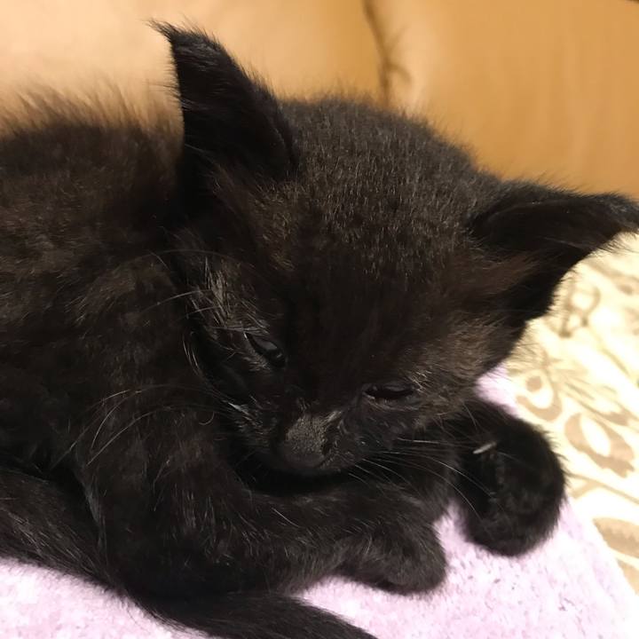 5158d0ab 261a 4f89 8a1b bcc553d92320 1657101190765