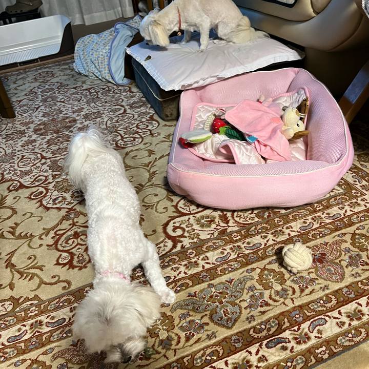 5159525e 4452 4cb3 8918 fcf1af56bcaa 1721474493174