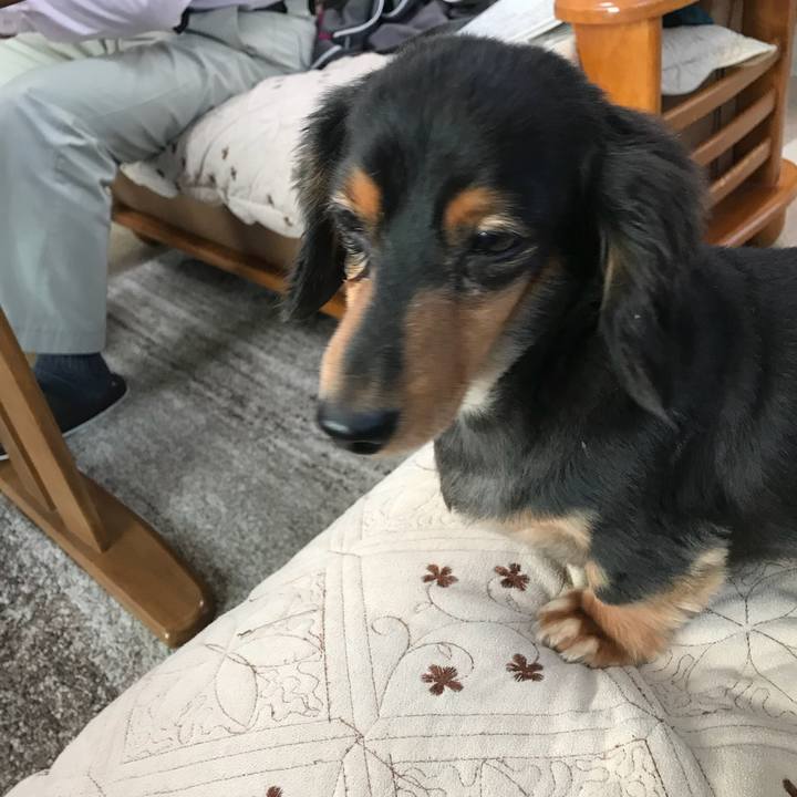 515962d3 4022 46ef 8278 664e2a2a3d0c 1508881512607