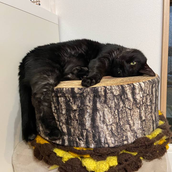 51597d1d 758b 4198 8ae1 ce1427b3628a 1629118501342