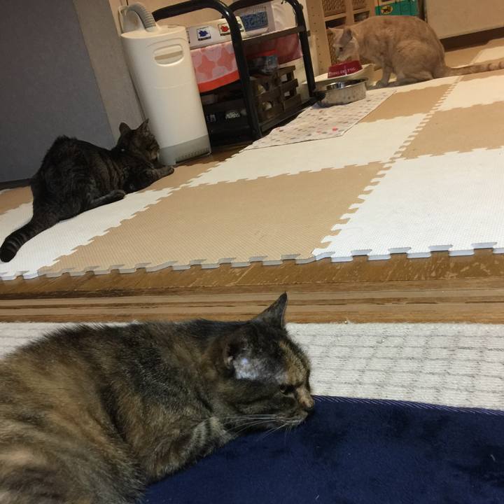 5159b907 5b4f 455d a3fb b51daf48c354 1534250636898