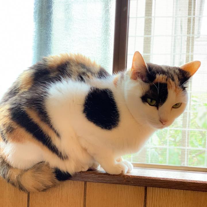 5159c747 da19 4aeb b0e9 799914d00cb9 1592100085527