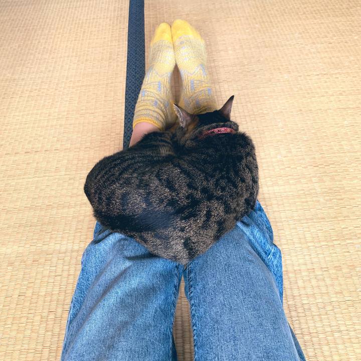 5159e36a d87d 4cdc 9568 5e251ae3c33f 1557917696154