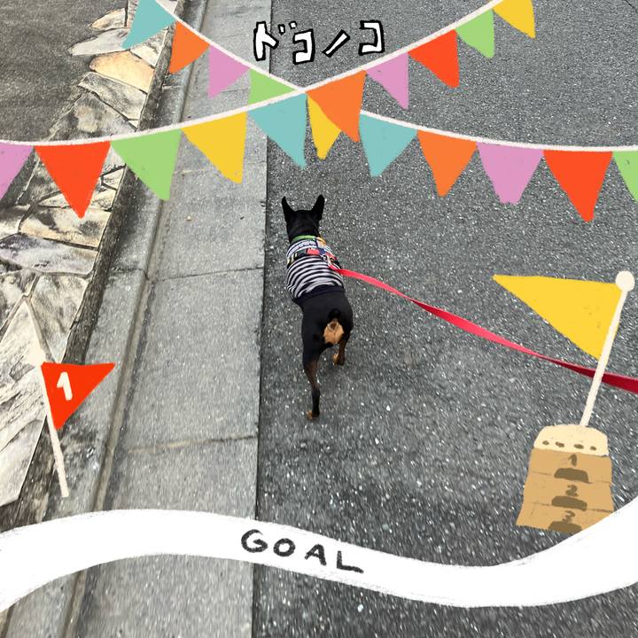 5159e6bf 45ab 4055 8c3e ed5e1dd529e9 1729860618934