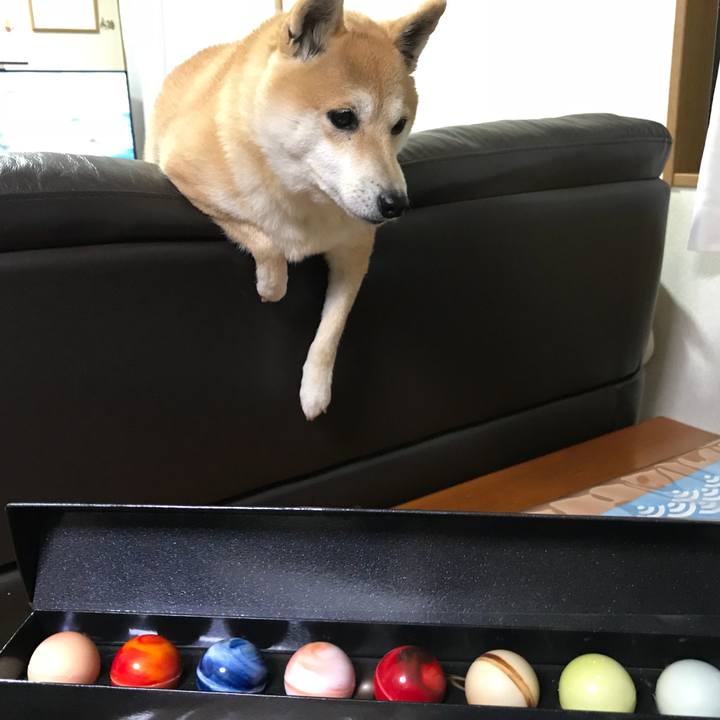 515a03b8 c369 467c b5ed c0eebaf8448c 1516800528516