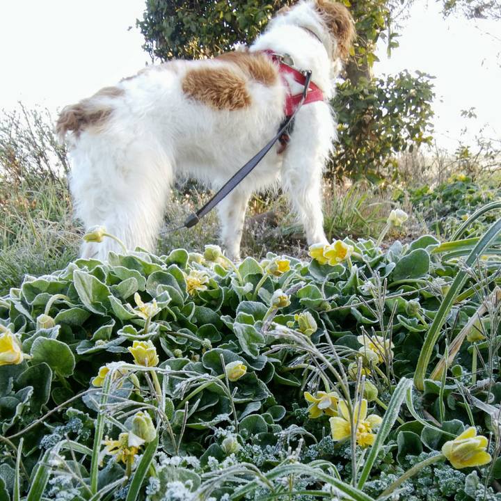 515a1c77 e521 4a8b 9973 990203220e64 1552868517109