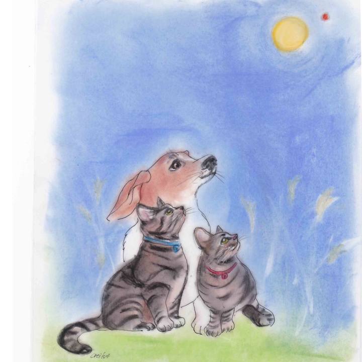 515a29aa 6d9a 4150 abaa b48ed9cb0d8a 1601998097401