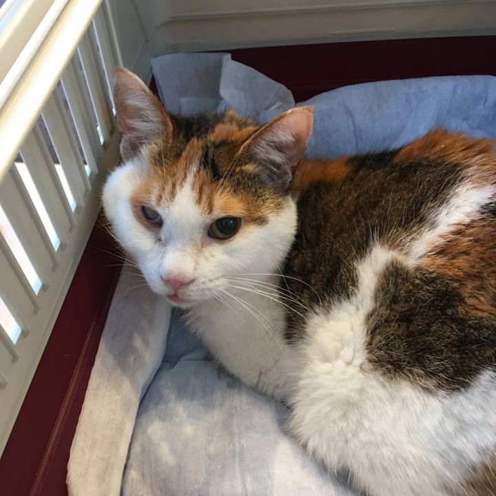 515aec95 0095 44ed af4c f3eb4f1f7643 1578739902361