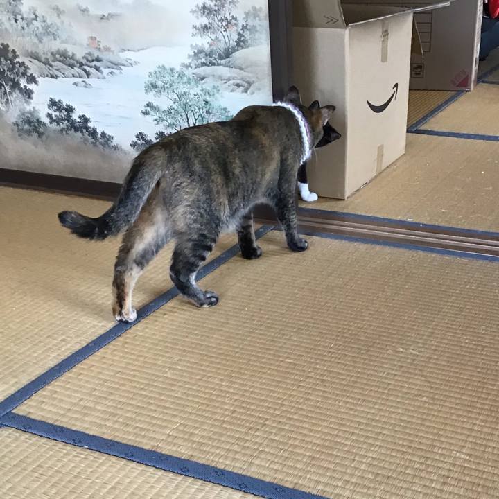 515b046e c5db 4fb5 bd29 f6c24d9caaea 1626760189403