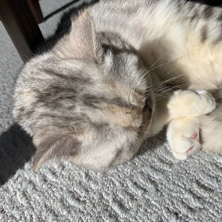 515b59ef 28d5 47e0 b1cc 6a1fcd7ba2c1 1709425316097