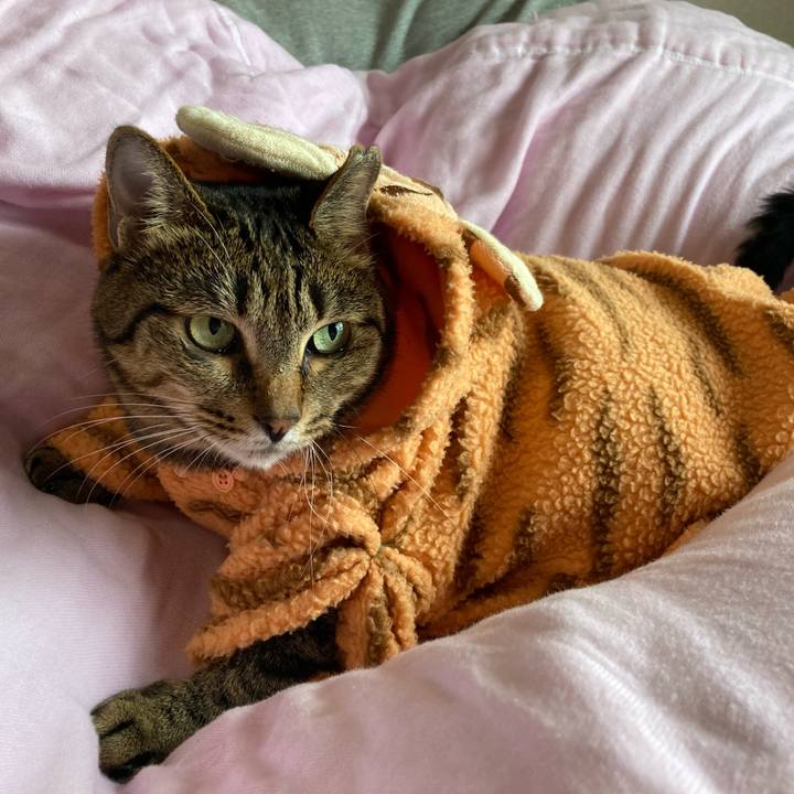 515b6f59 07ef 47a4 8509 a955ff56a2b9 1631154369957