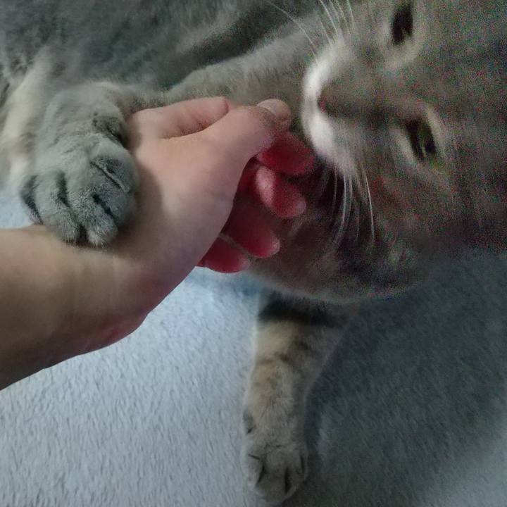 515b6fcd 709b 41d5 abde b321d0c33384 1636921906900