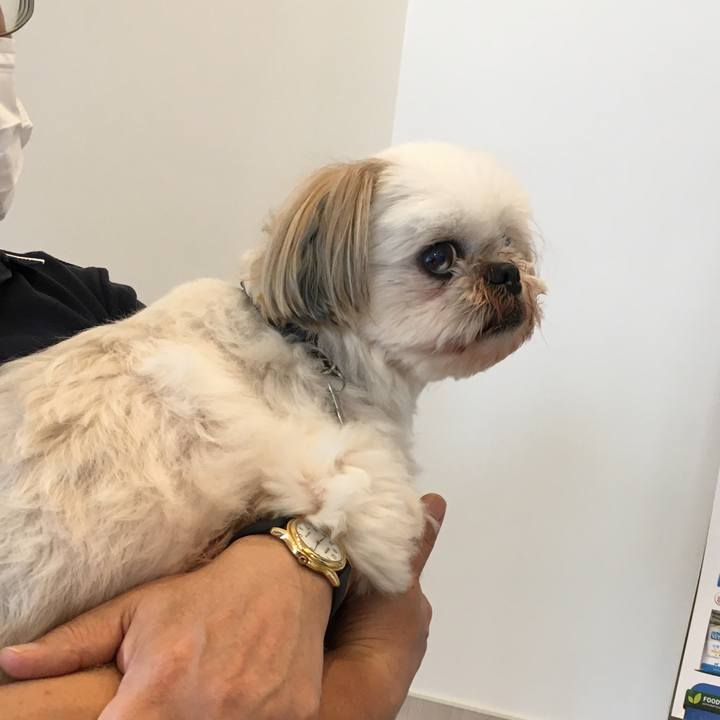 515b7196 1b7b 48ce 9b32 0d721b523656 1626494883803