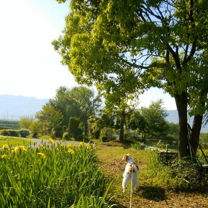 515b7a23 ec79 4c4a 91dc 626a7d538046 1557531278404