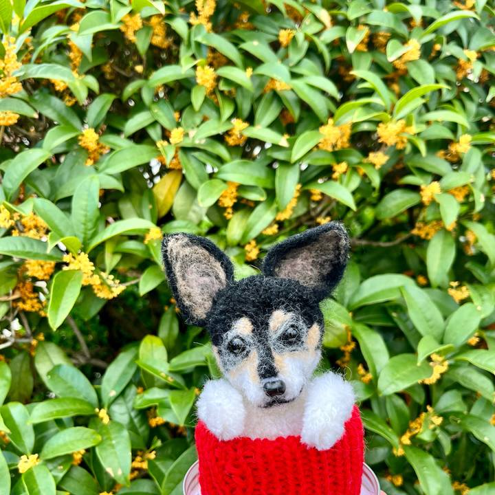 515b997b dab0 4379 9bdf 8b54bce0960f 1665881688839