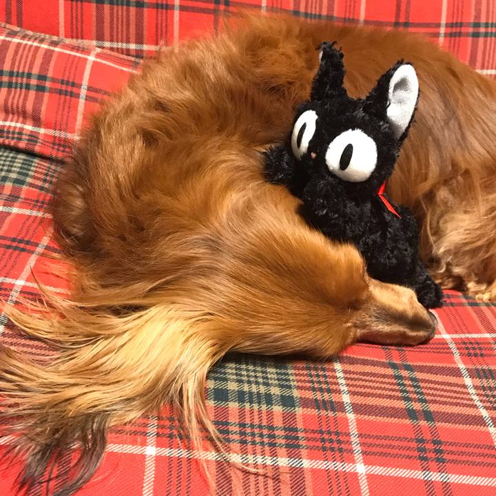 515b9e51 2028 47c1 a4d3 7381e169d2fb 1550926894946