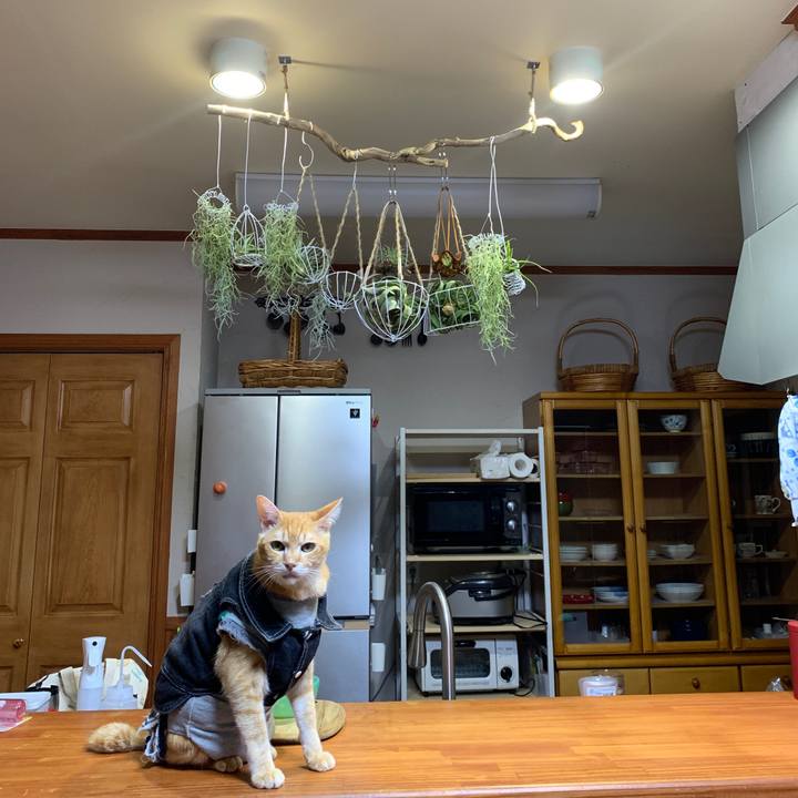 515bc17d 6d90 49cc 96ef a403f1e33419 1653484432423