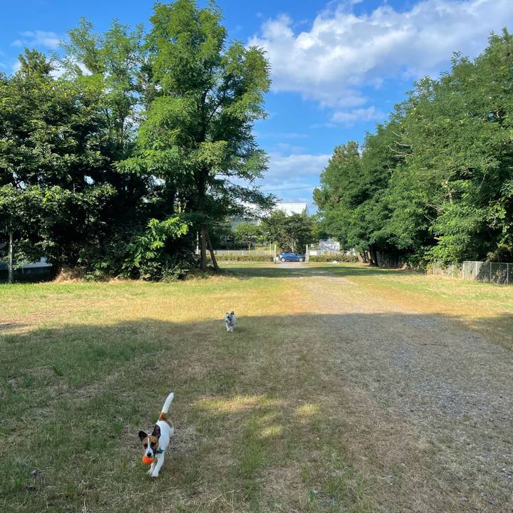 515be64a 62d4 40f3 bb53 4a8ee43b5aa0 1627600995245