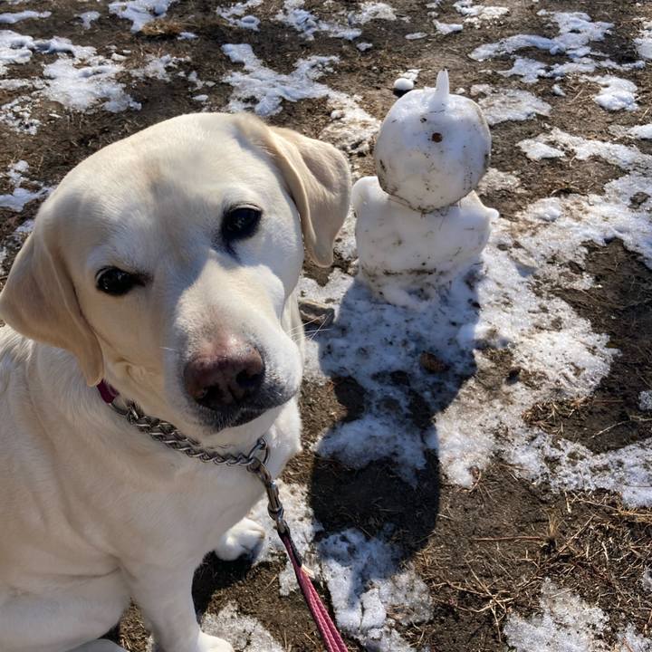 515c73bc 6c07 4998 b076 b12da29968e8 1707280909060