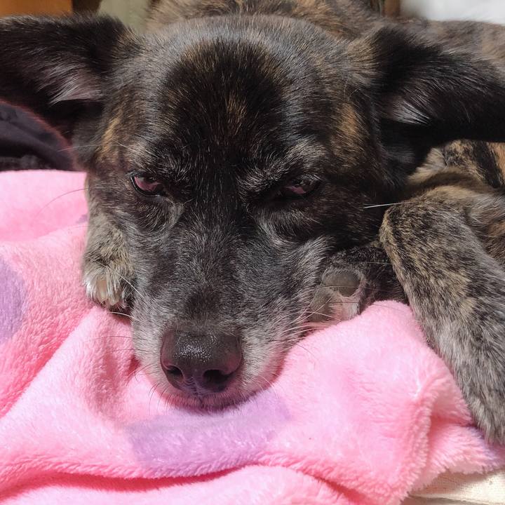 515cdcbb cd5d 486d ad62 6abab2ad47c6 1574943721809