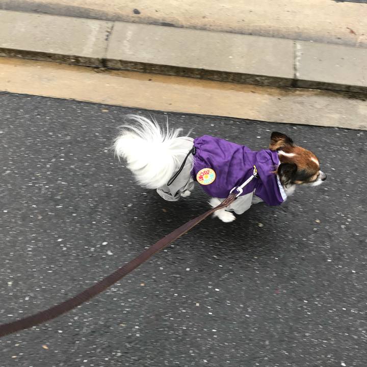 515ce195 1f74 4184 8924 6f79064a2c8f 1508206732396