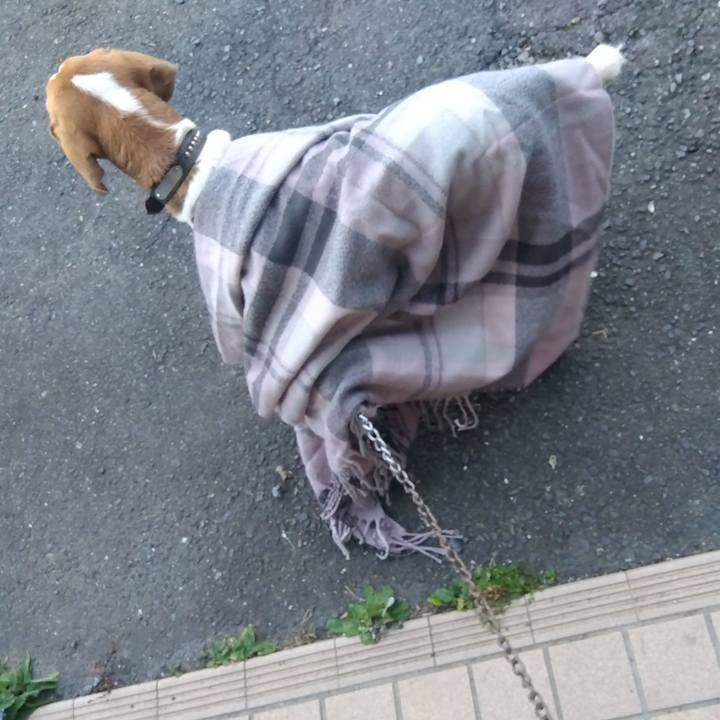 515d1469 fb85 4242 bb8c 7644f217d3ef 1701945364266