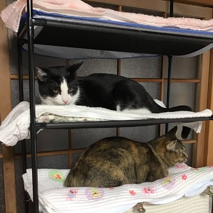 515d319e 3380 4d33 a3e2 153d89ff73ec 1635642632114