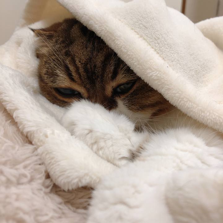 515d3285 5fe6 4fe5 8aee 8a075bfb4e55 1550727102330