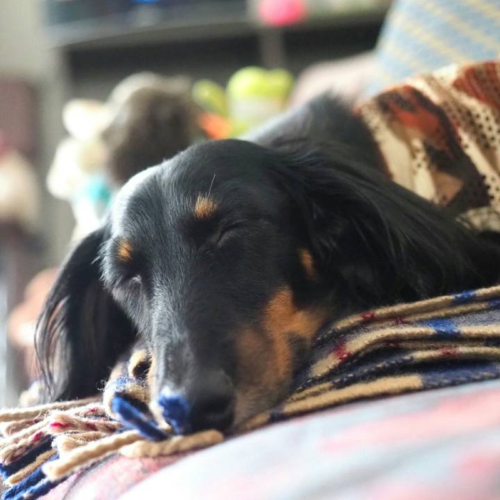 515d5367 8649 4ef1 977c 57e74da8f1e7 1535769216797