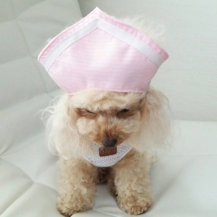 515d6020 5550 4fda 8ed3 fa9712d2b9df 1532075539364