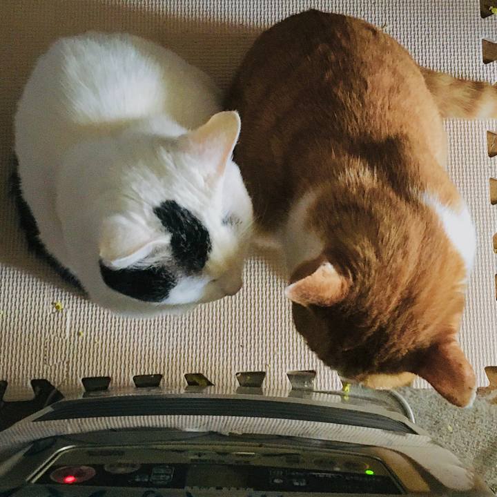 515d6e31 f9a0 4347 8885 d441dfca6bf0 1585972463117