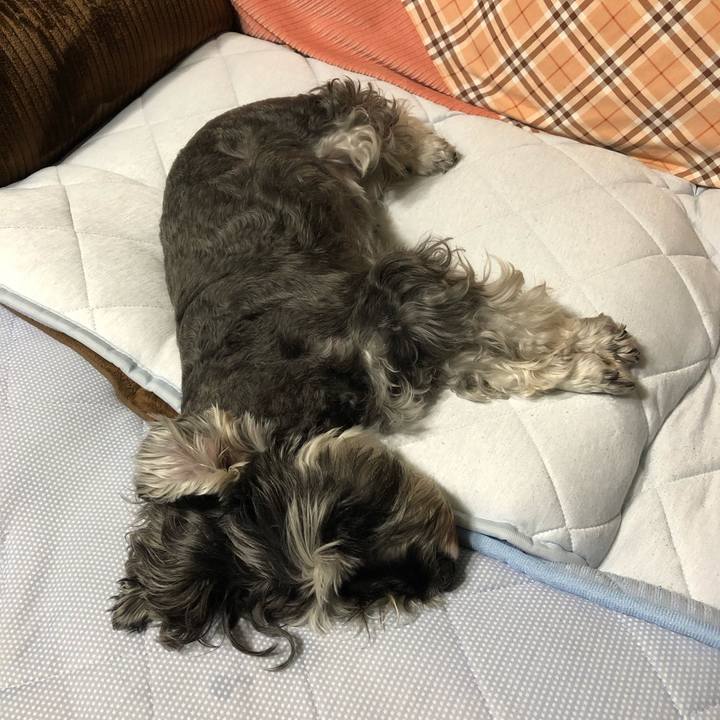 515d9e9d 13f0 45d1 9537 bf4aaa2792ad 1630413449350