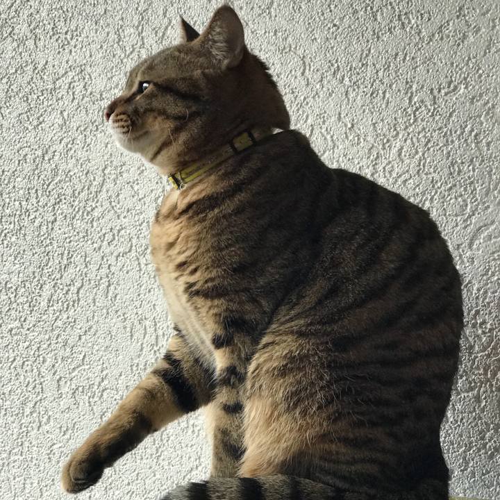 515da636 5e35 4d05 9239 26103e314125 1512706734591