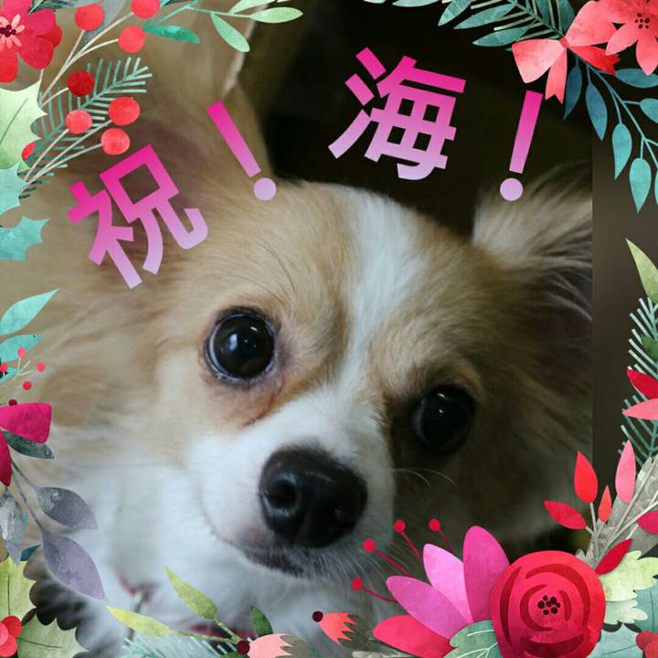 515dc921 f66b 4ae8 aa66 50b3d4f38e84 1624228163827