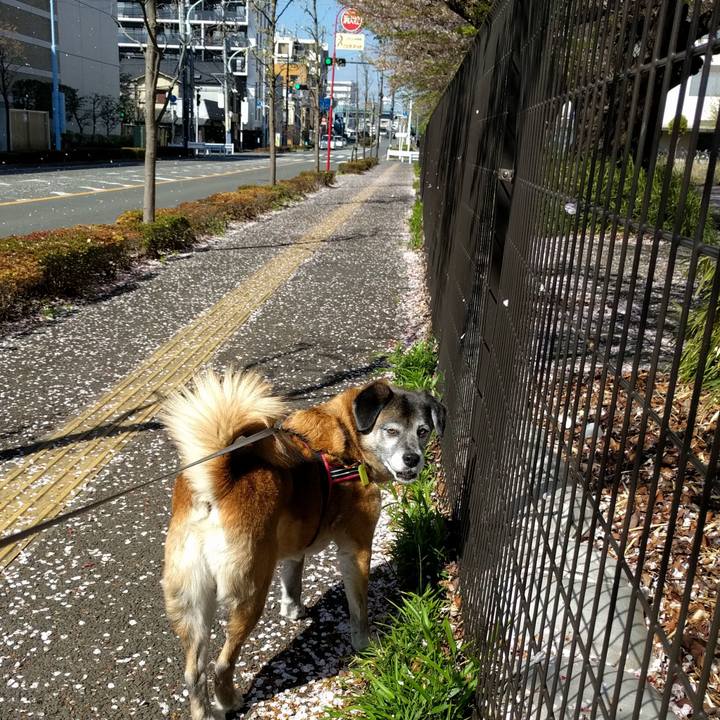 515dd963 dcd4 4c0a 9992 5468605df0a3 1555292944394