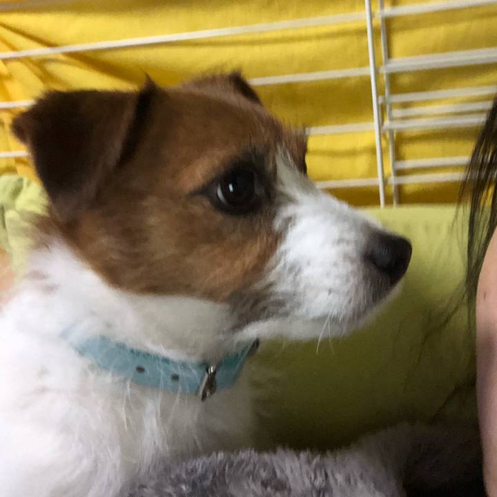 515dff38 a639 4976 8624 76703c992558 1518925640495