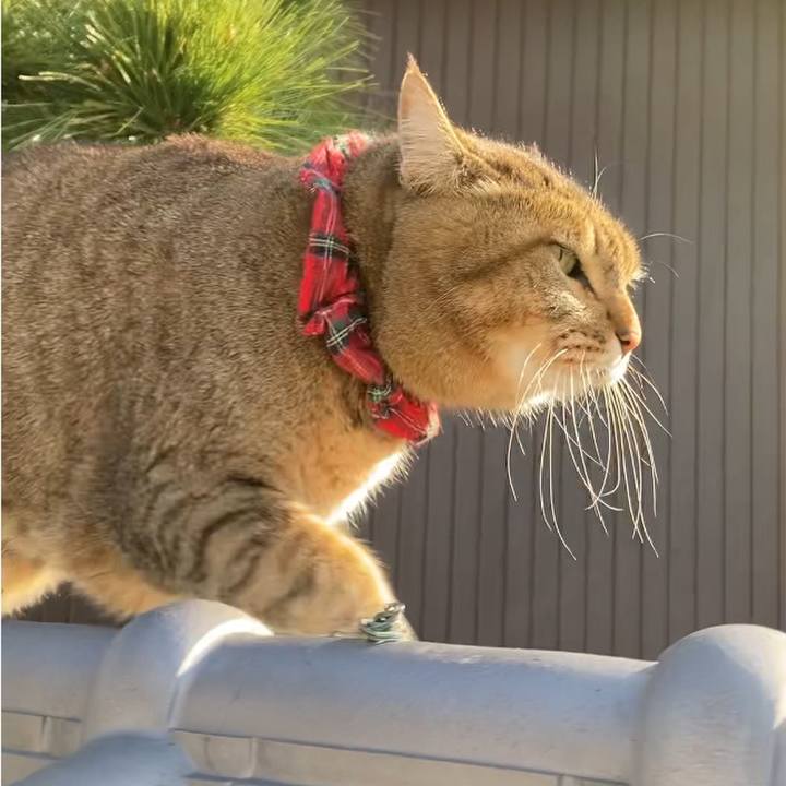 515e01c9 5345 4e81 a990 790f2f3c1c3a 1672623152648