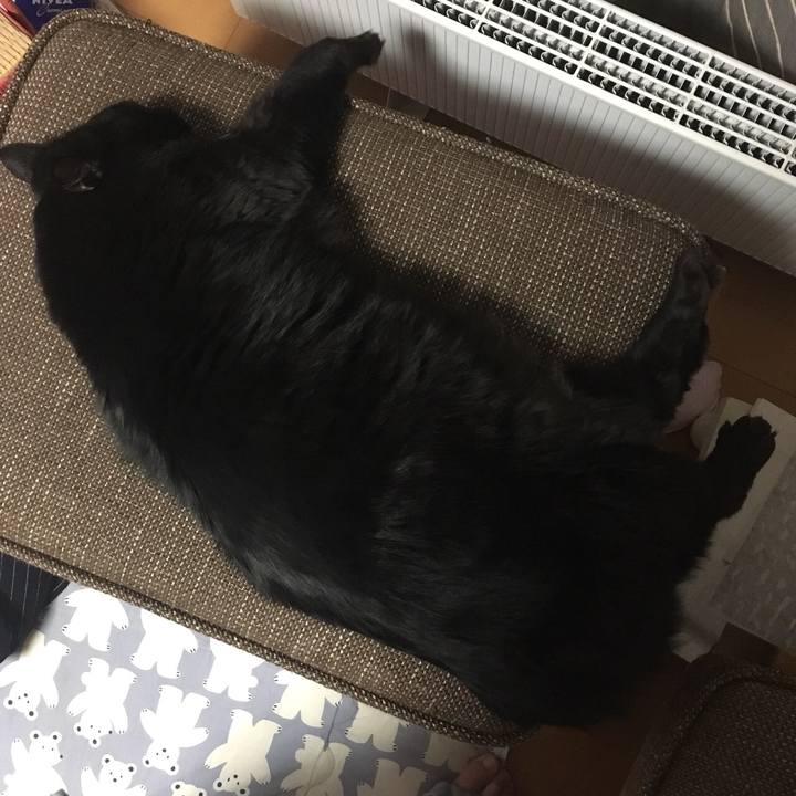 515e1a9b 51ae 4d53 a56a f1bcfea99199 1518967371697