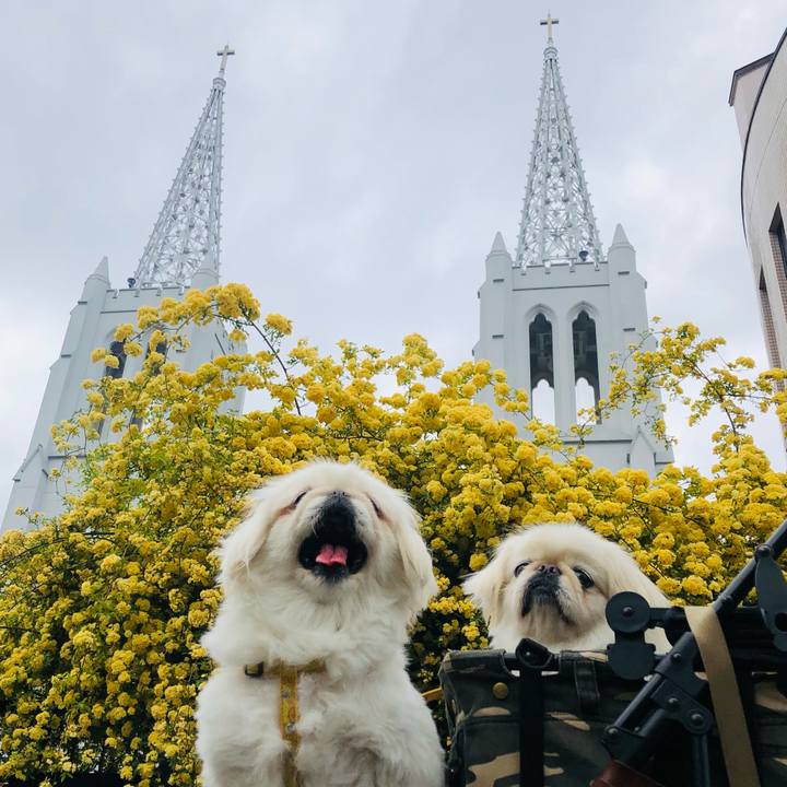 515e2a35 4e75 4b18 b384 25360ec3f42c 1618582563508