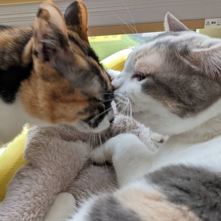 515e541e cdf8 4d0c bac5 d9da8ed8112d 1708663462362