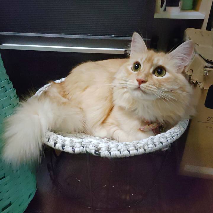 515e76db ee1c 48cd 8ea4 0da710b04afc 1693224560566