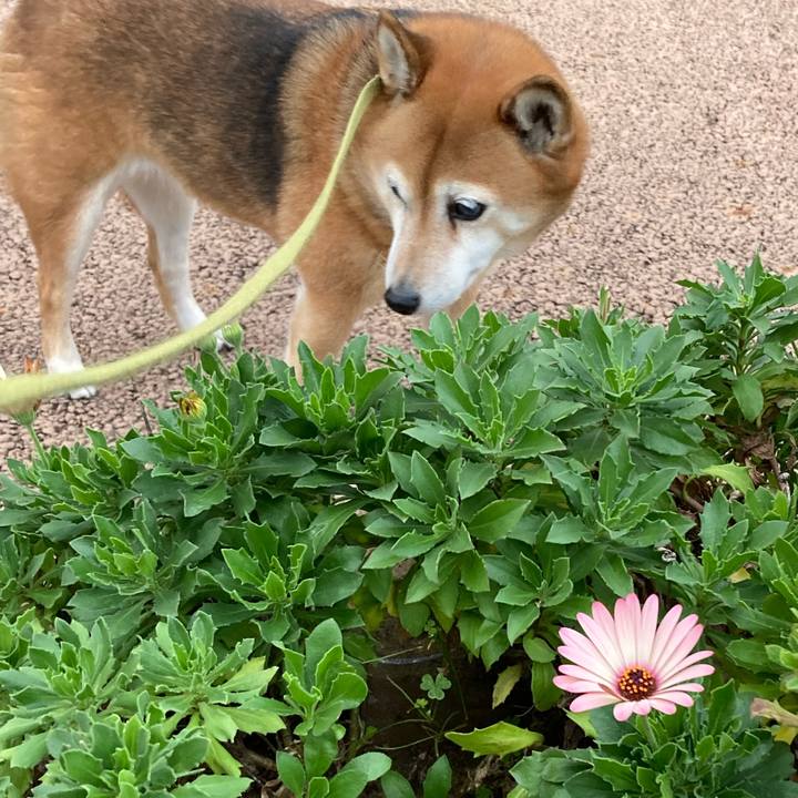 515e87a9 62ea 4d3f 82ba 8e62bab370a0 1635147477514