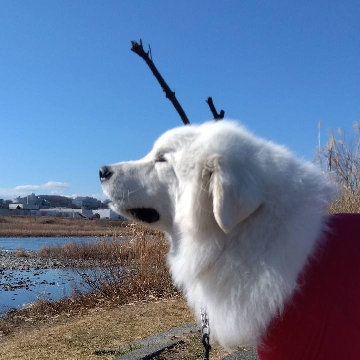 515e99b3 3c0d 46dd 962b c0e634b1bed8 1675038032468