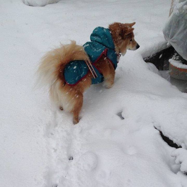 515ee48c 15b6 4058 9162 67543ac10e40 1598059296533