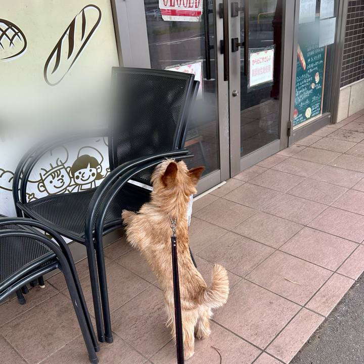 515ee59b 016d 4c12 a09b b6f712271fb8 1746336087847