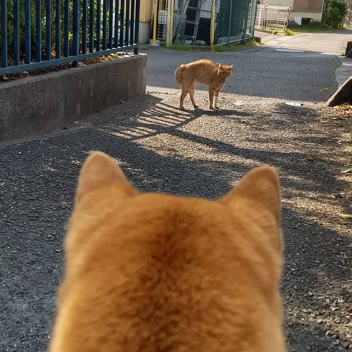 515ef0a6 bed7 4c47 9653 bfef5fa096ed 1522146397873