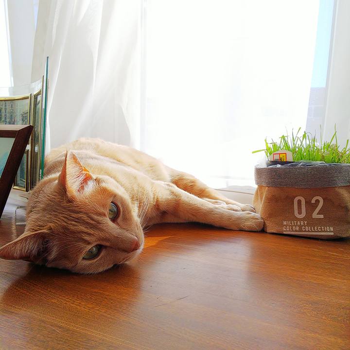 515f0184 c925 4b00 b268 5b24679896f0 1610242934186